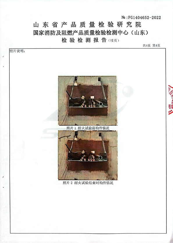 無(wú)機堵料DW-A3型式試驗報告